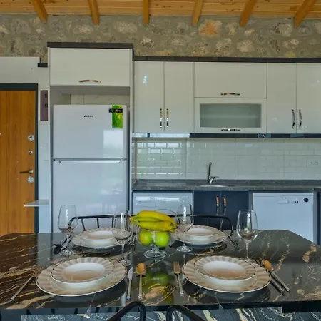 Villa Guntekin Stone Fethiye