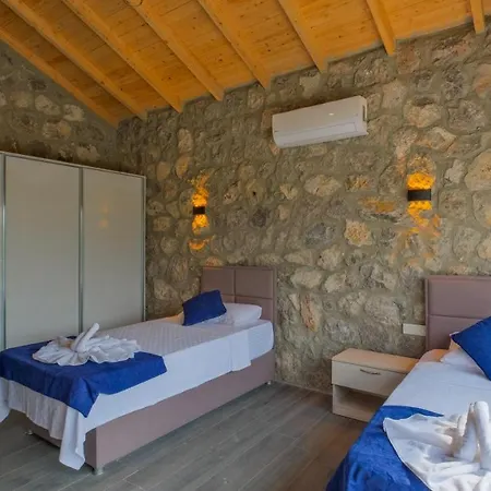 Guntekin Stone Villa *
