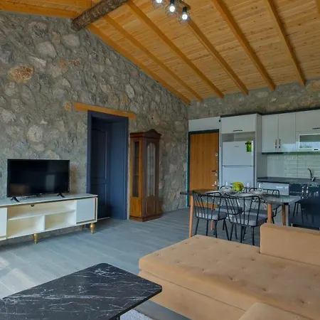 Villa Guntekin Stone Fethiye