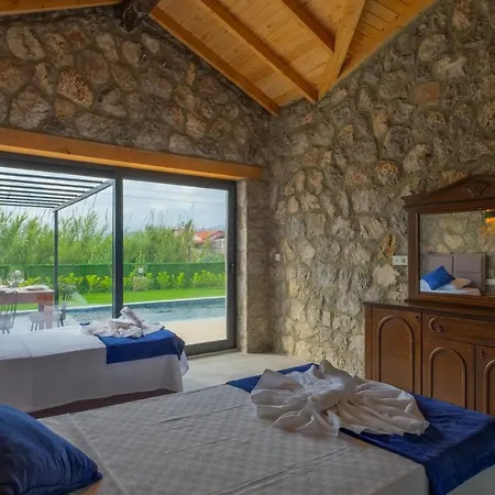 Guntekin Stone Villa *